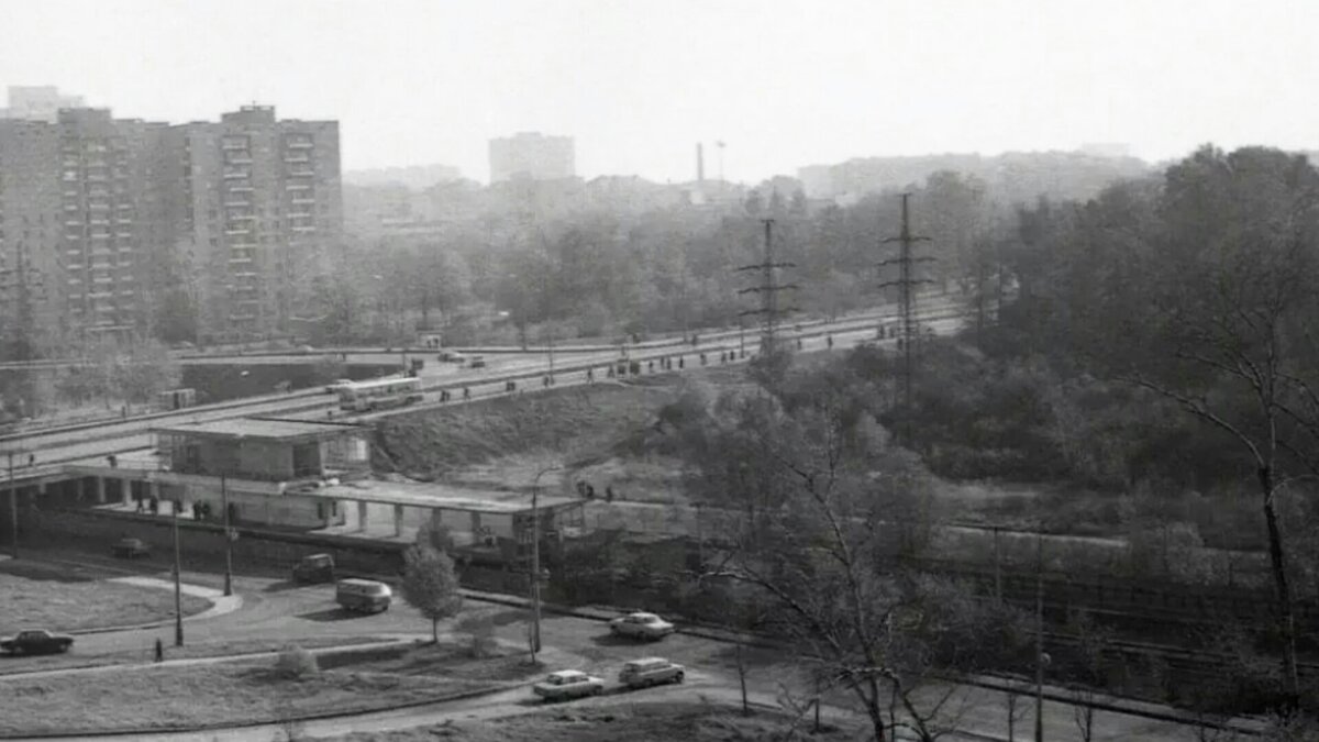 S00223-202325.jpg