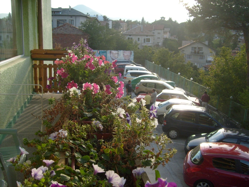 S6300129.JPG