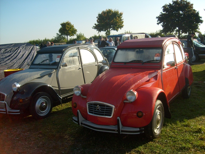 S6300195.JPG