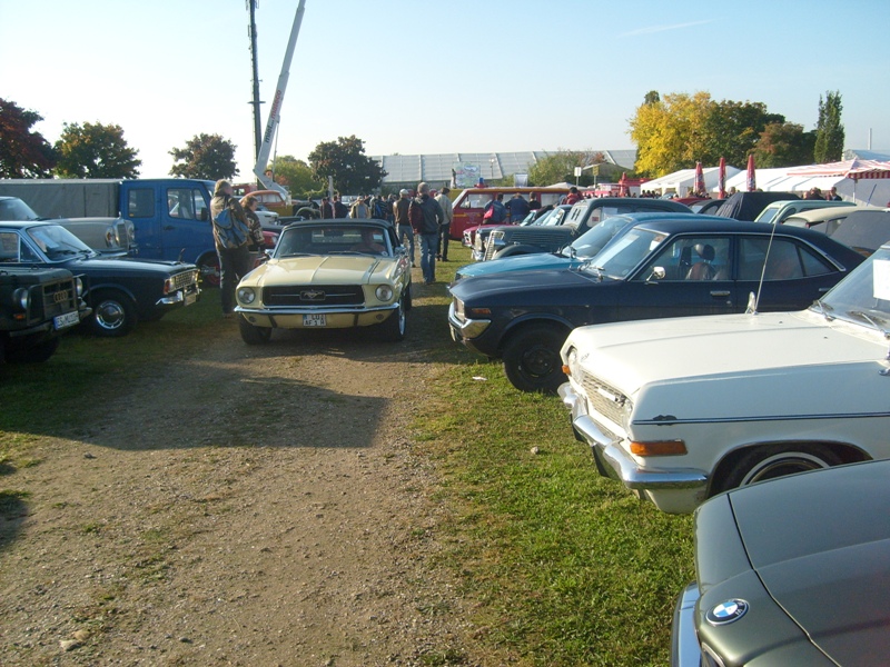 S6300198.JPG