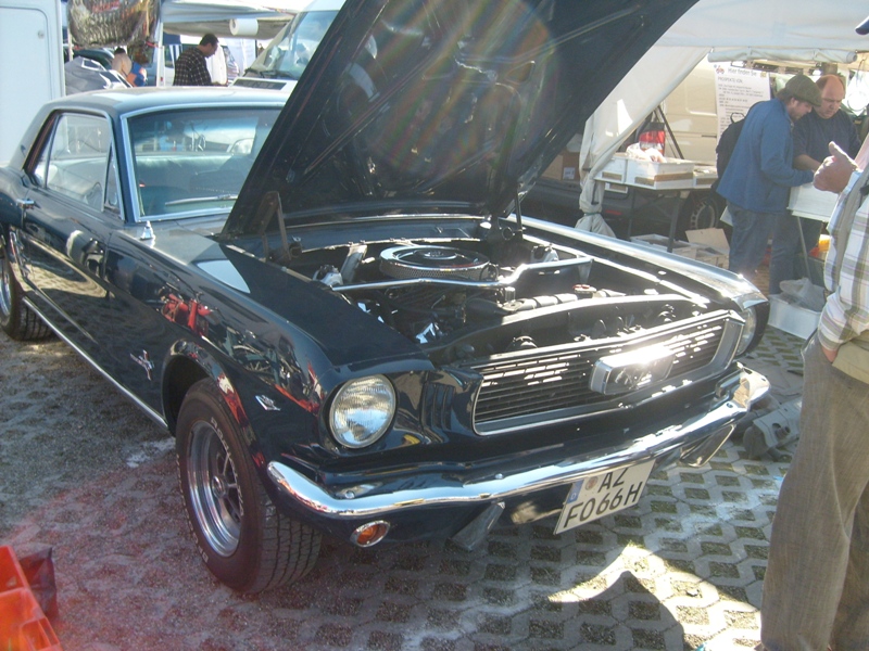 S6300225.JPG