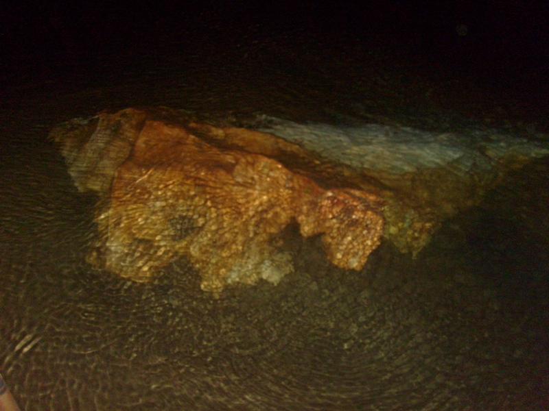 S6301881.JPG