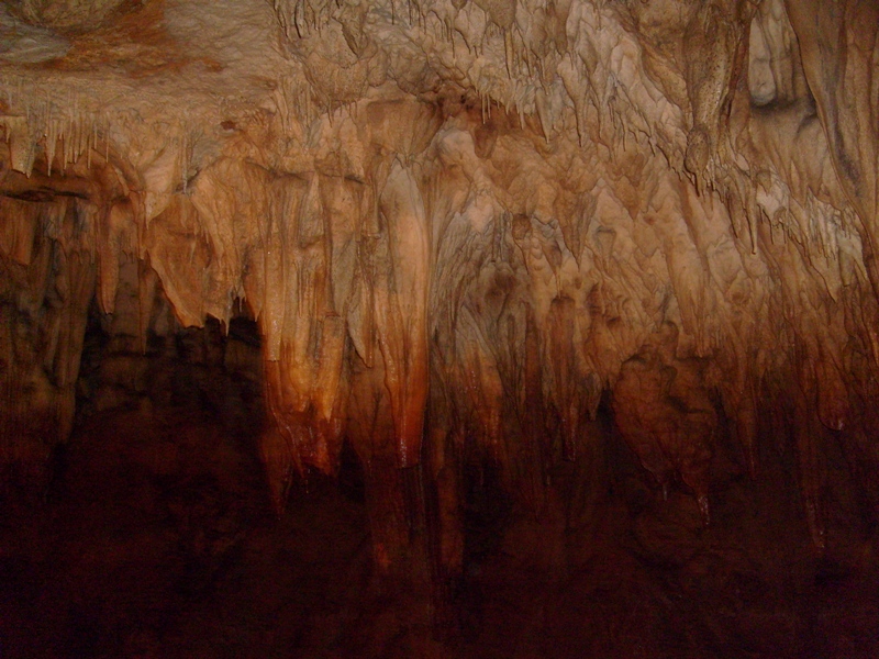 S6301889.JPG