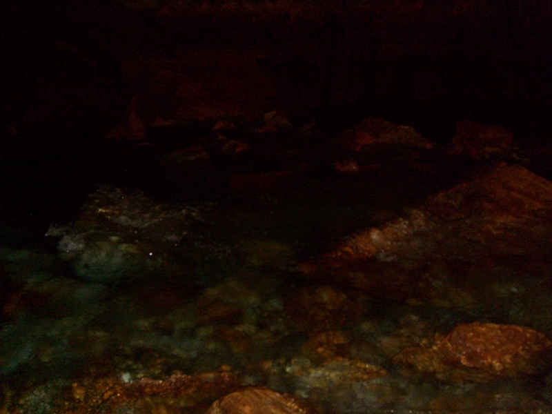S6301891.JPG