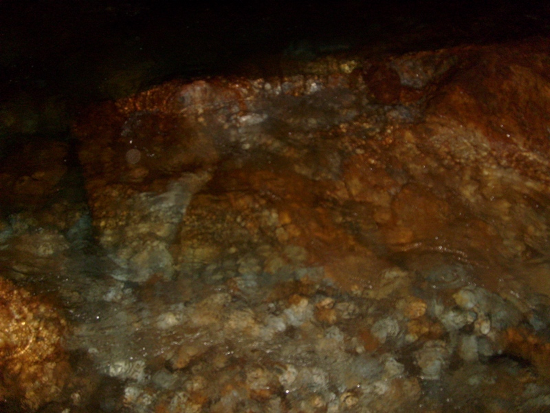 S6301893.JPG