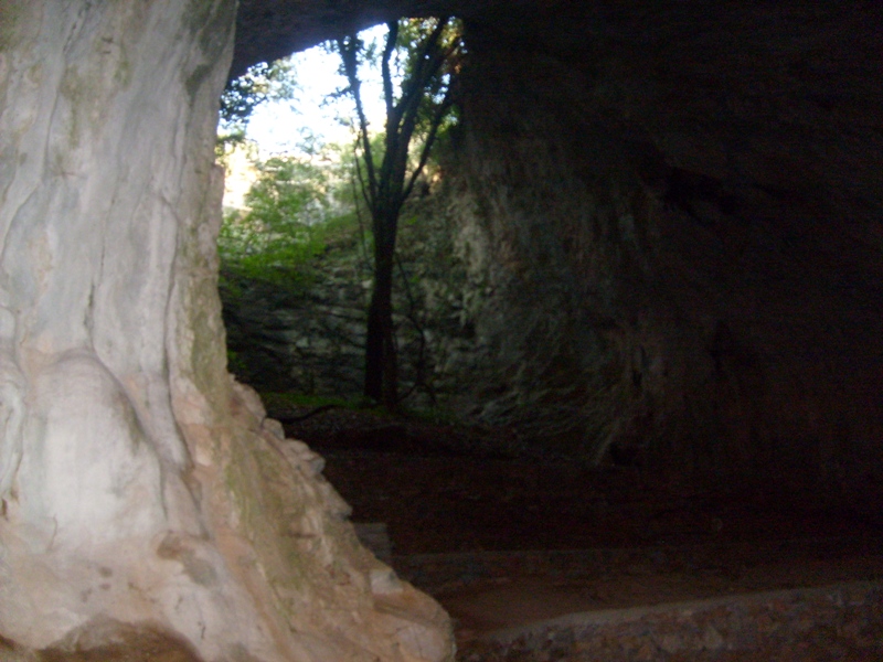 S6301894.JPG