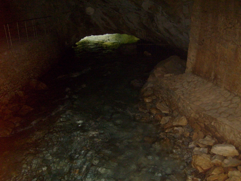S6301895.JPG