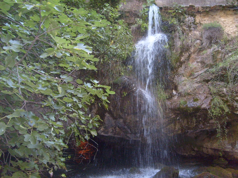 S6301908.JPG