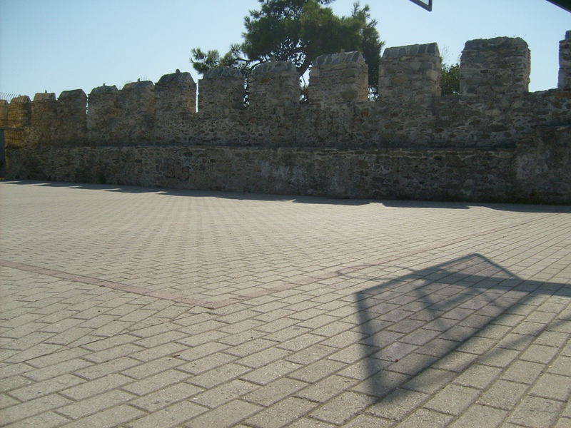 S6301944.JPG