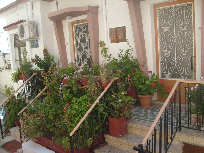 S6301953.JPG