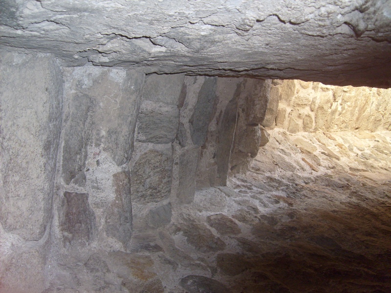 S6301995.JPG