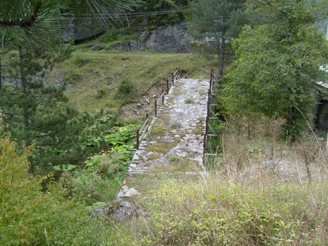 S6308271.JPG
