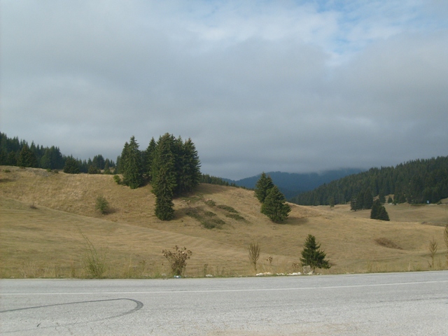 S6308272.JPG