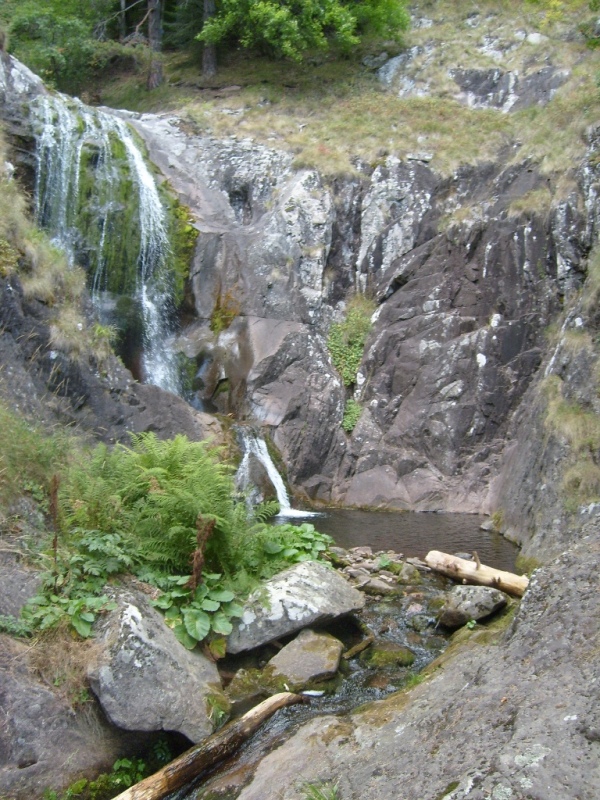 S6309583.JPG