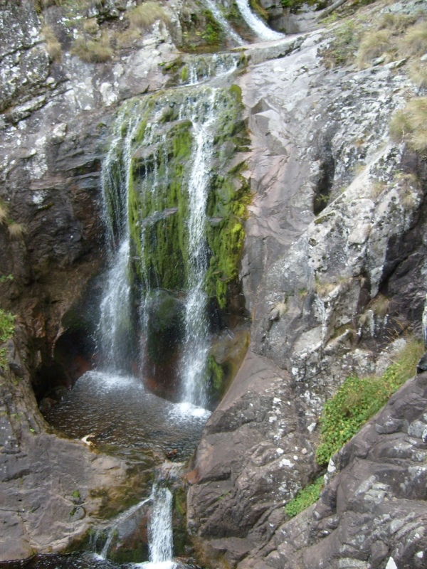 S6309585.JPG