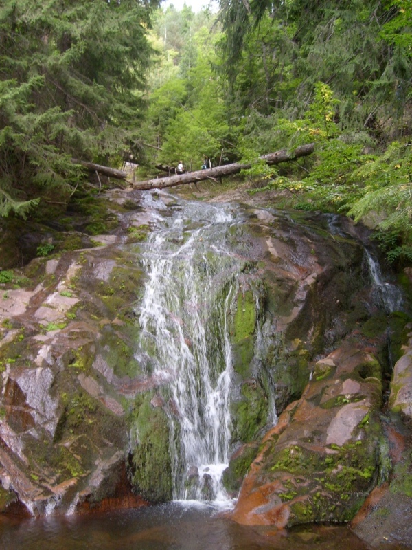 S6309590.JPG