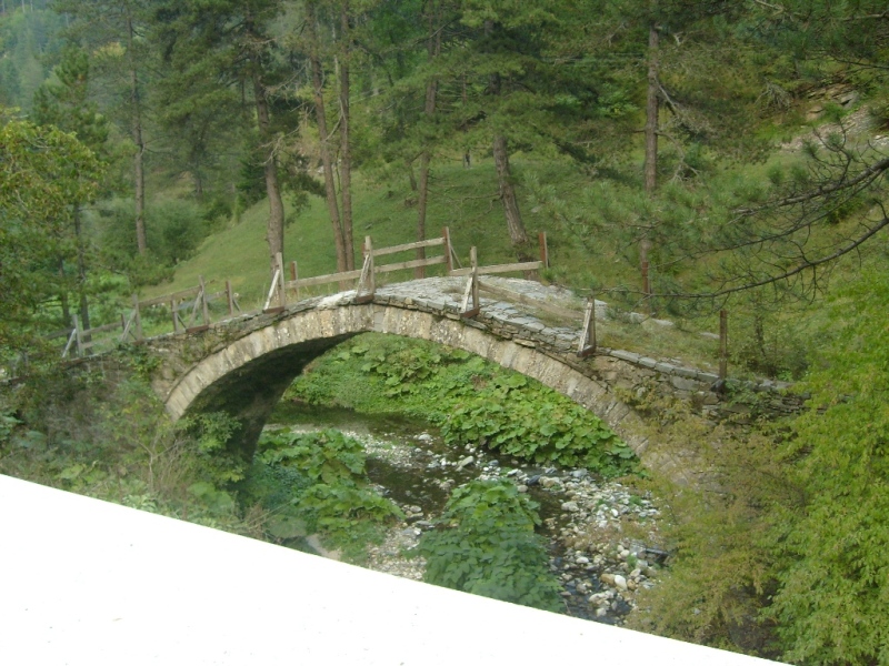 S6309658.JPG