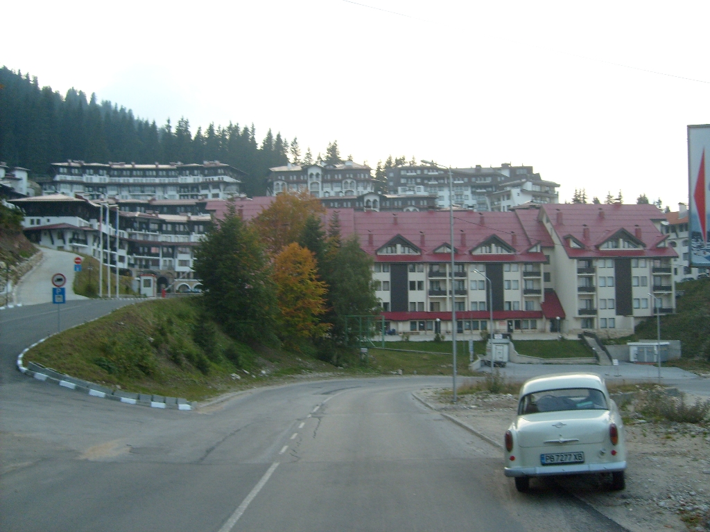 S6309662.JPG