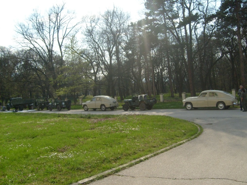 S6309681.JPG