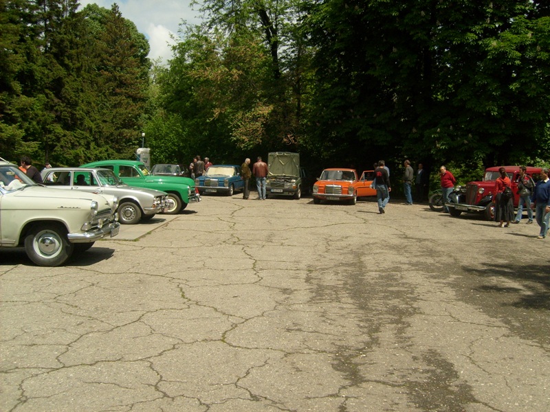 S6309740.JPG