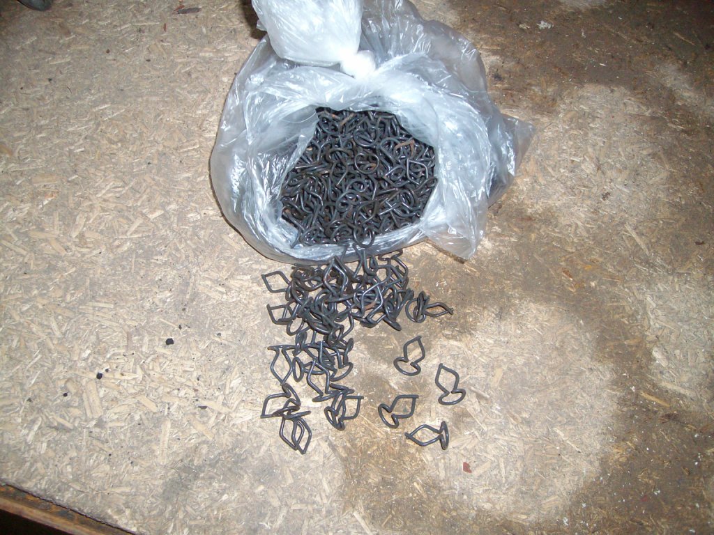 SANY2785.JPG