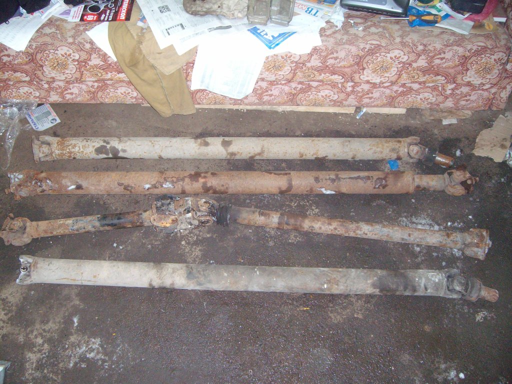 SANY3065.JPG