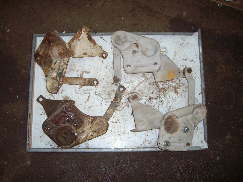 SANY3069.JPG