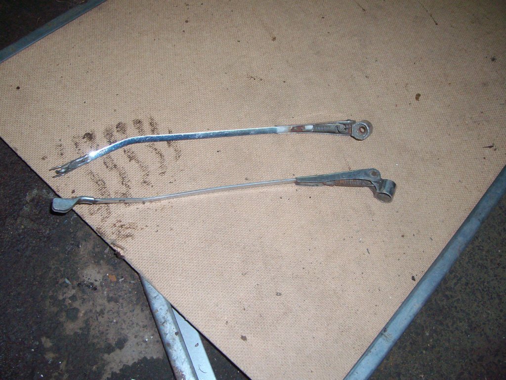 SANY3106.JPG