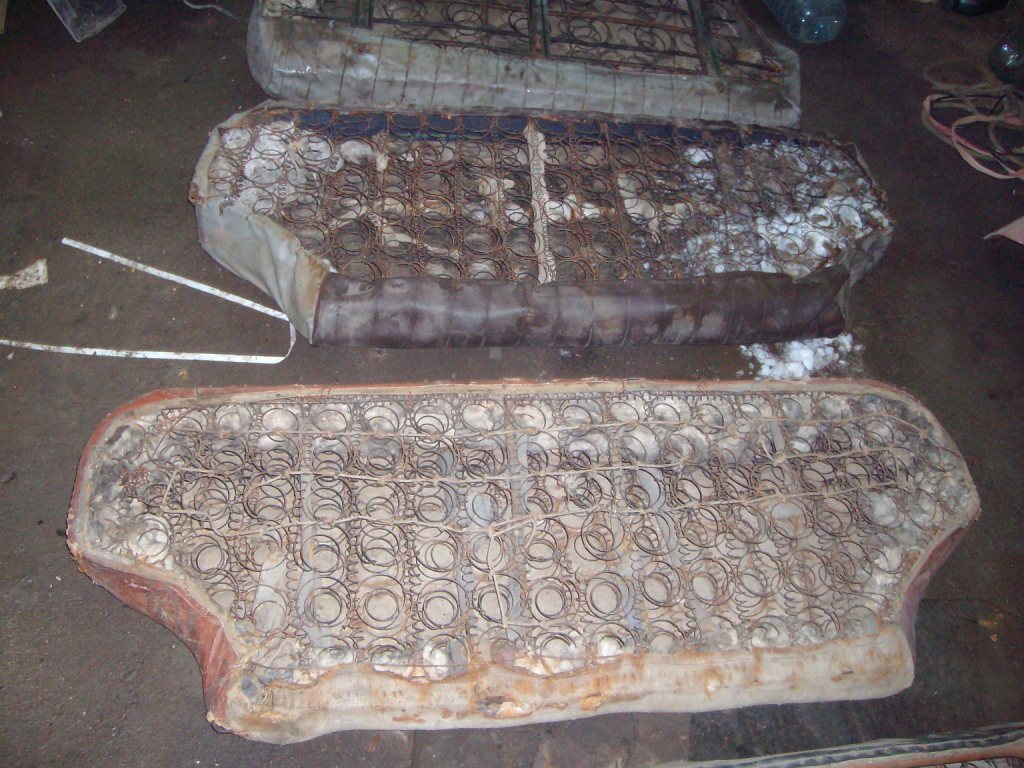 SANY3137.JPG