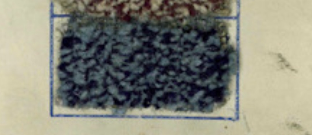 Screenshot_20250401_211320_Gallery.jpg