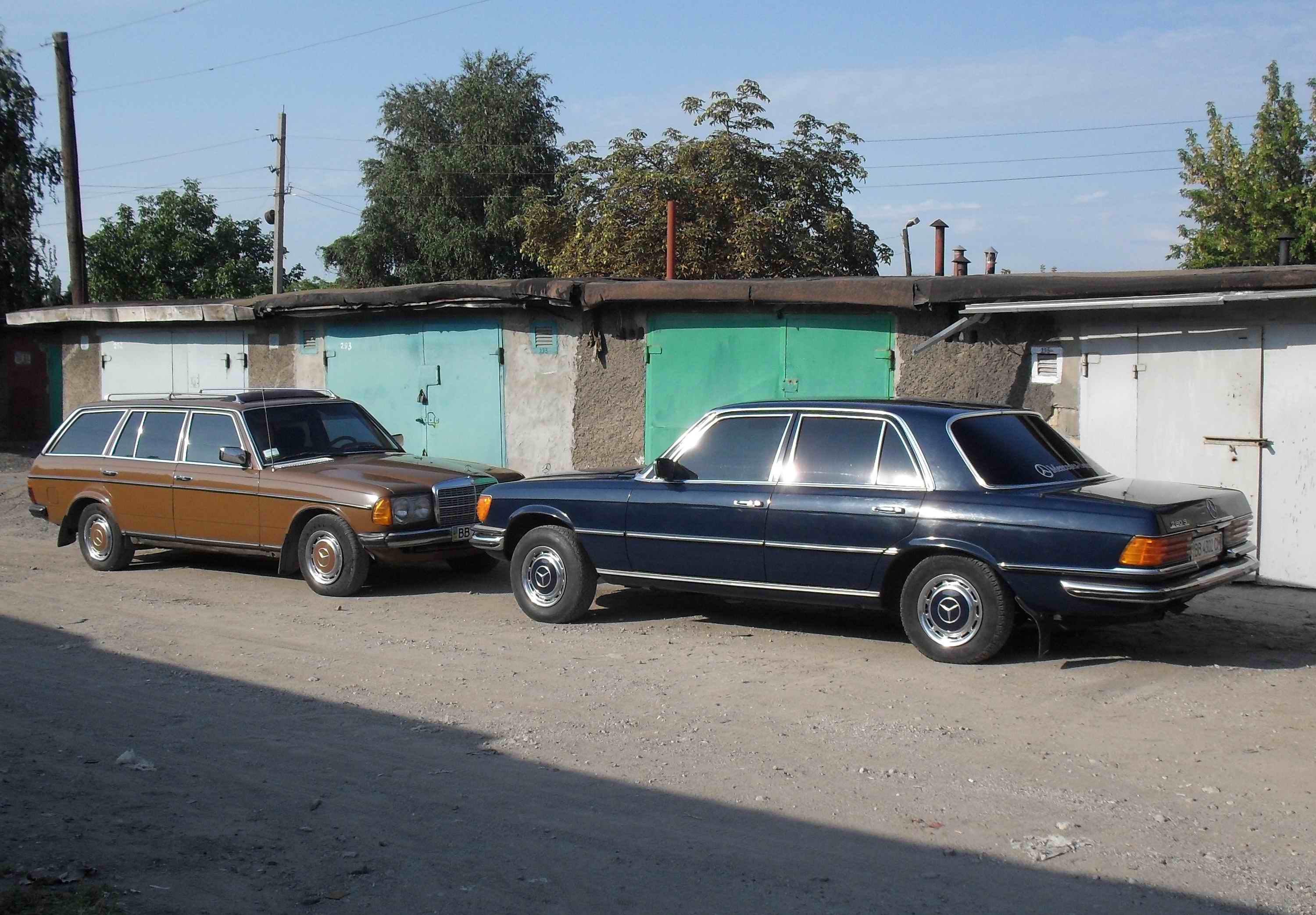 SDC12644.jpg