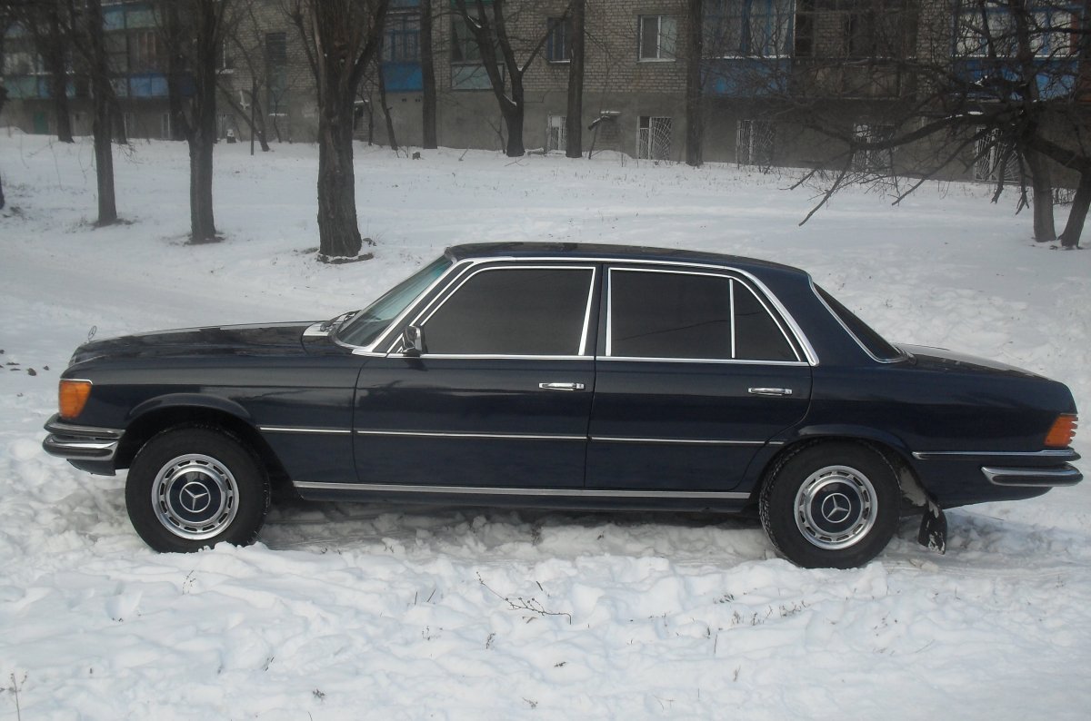 SDC12709.jpg