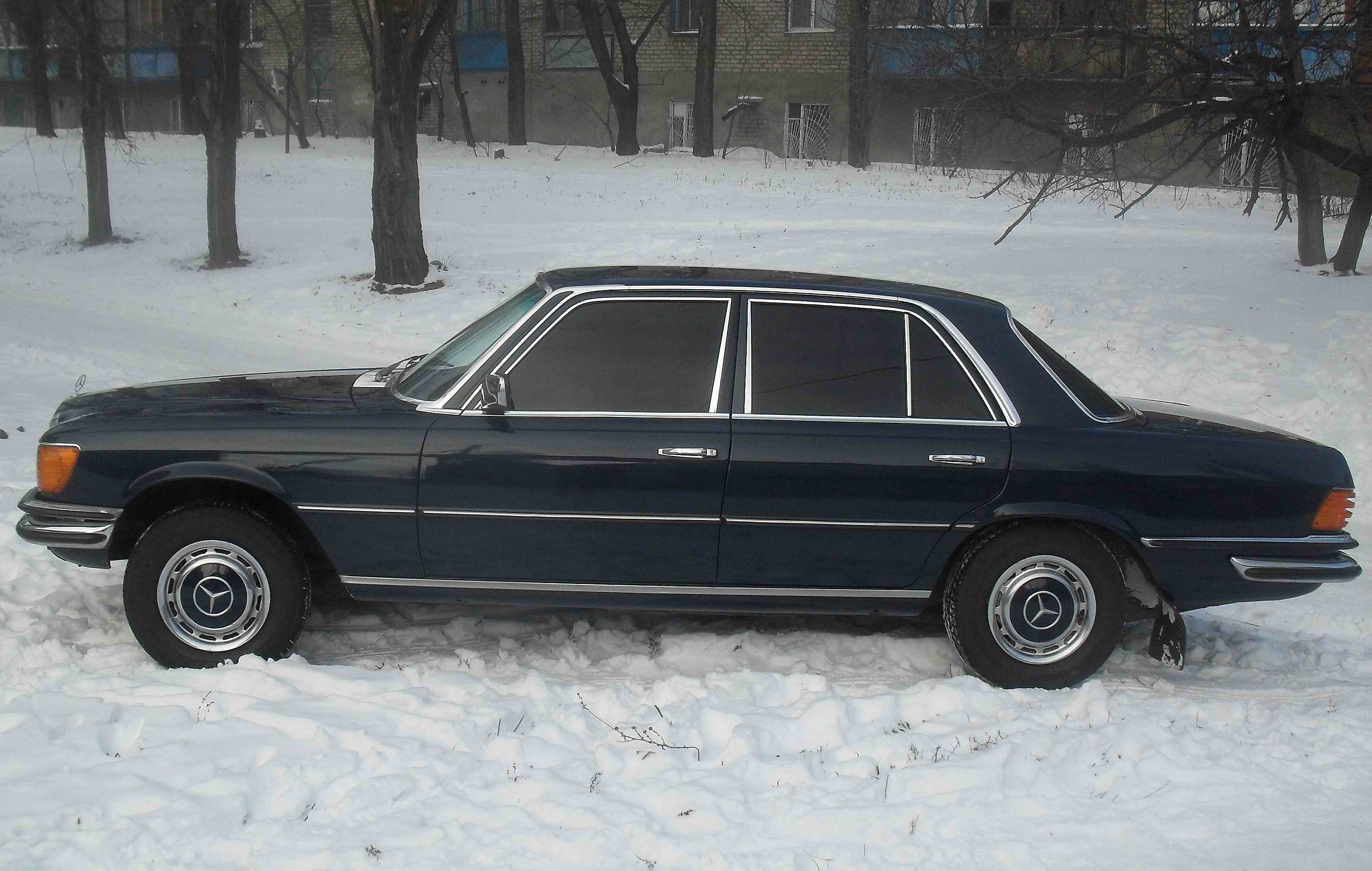 SDC12709.jpg
