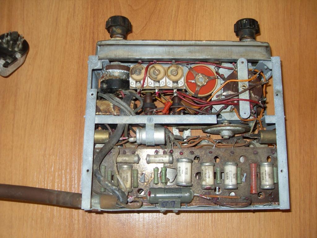 SDC13725.JPG