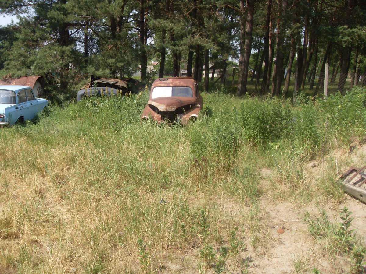 SDC13797.JPG