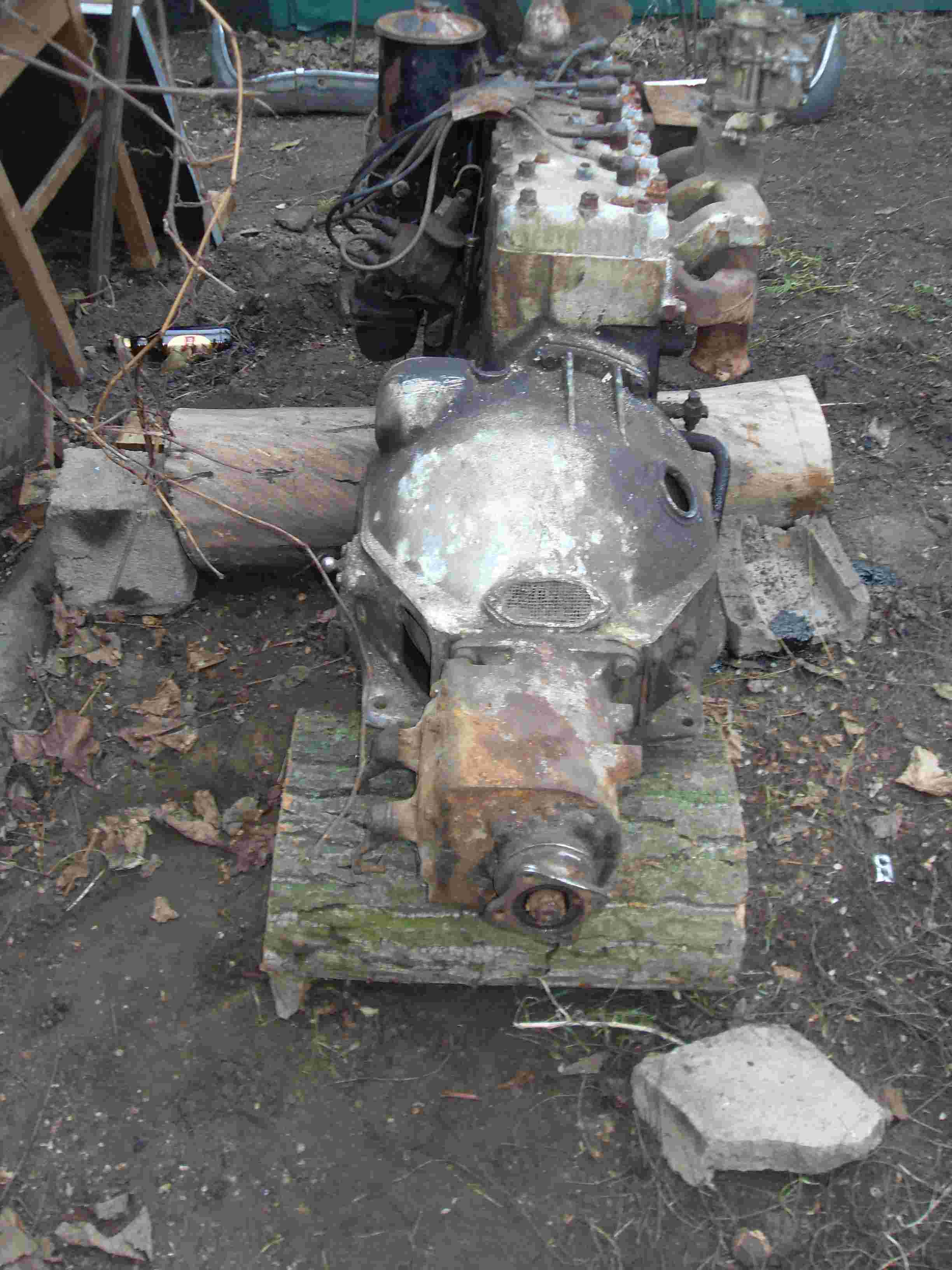 SDC15784.JPG