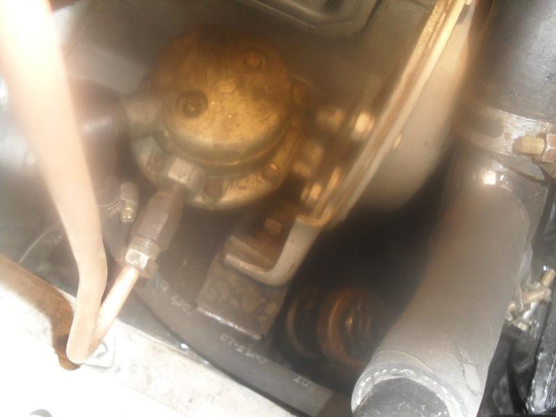SDC17138.JPG