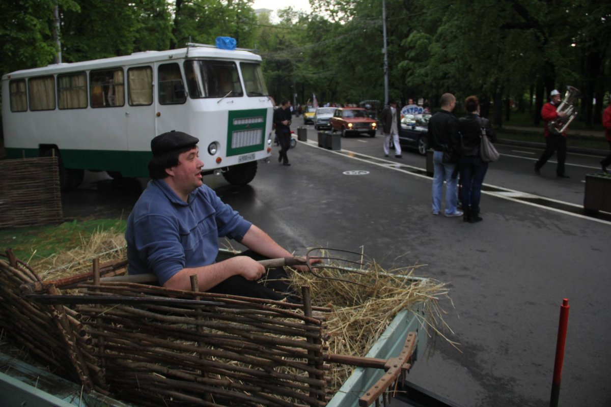 Шмель в сене.jpg