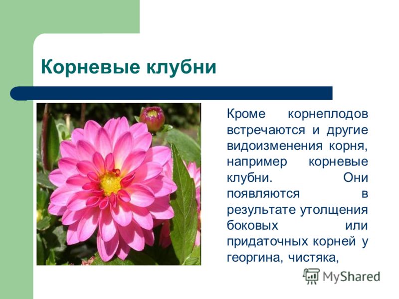 slide_5.jpg
