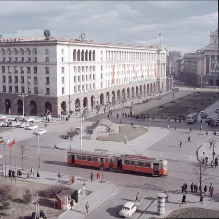 SOFIY---04274ccb1d5498f970.jpeg