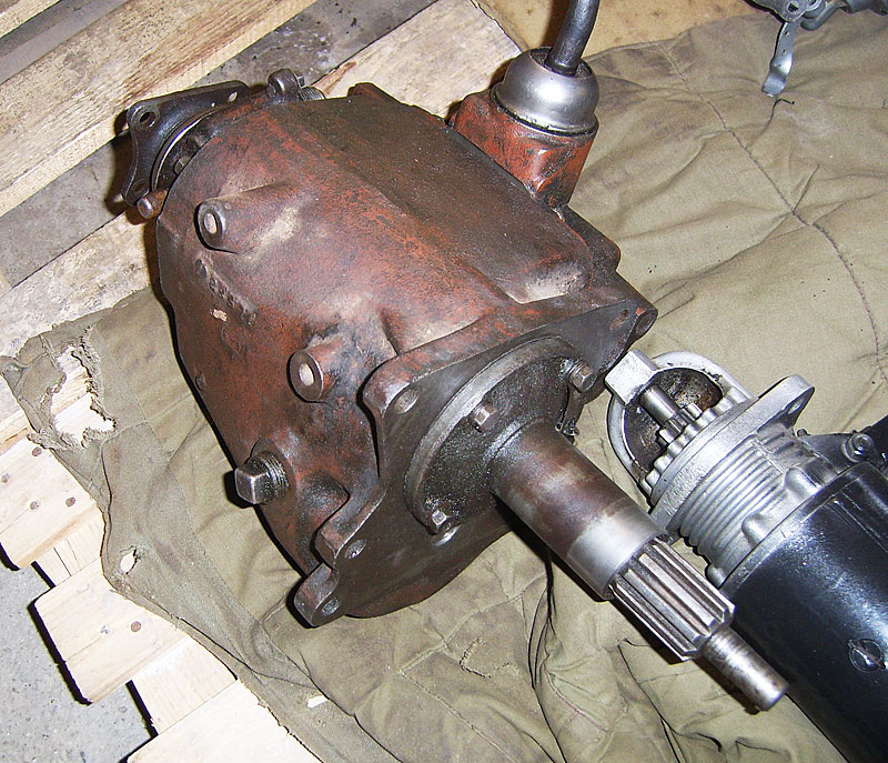 SV103169.jpg