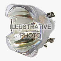 thomson-61-dsz-644-OOB-d.jpg