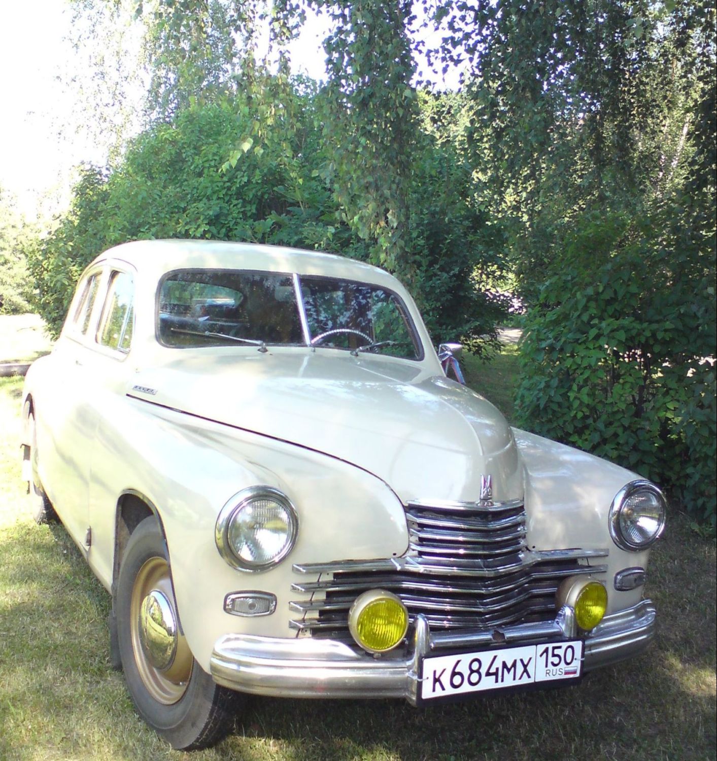 туманки.jpg
