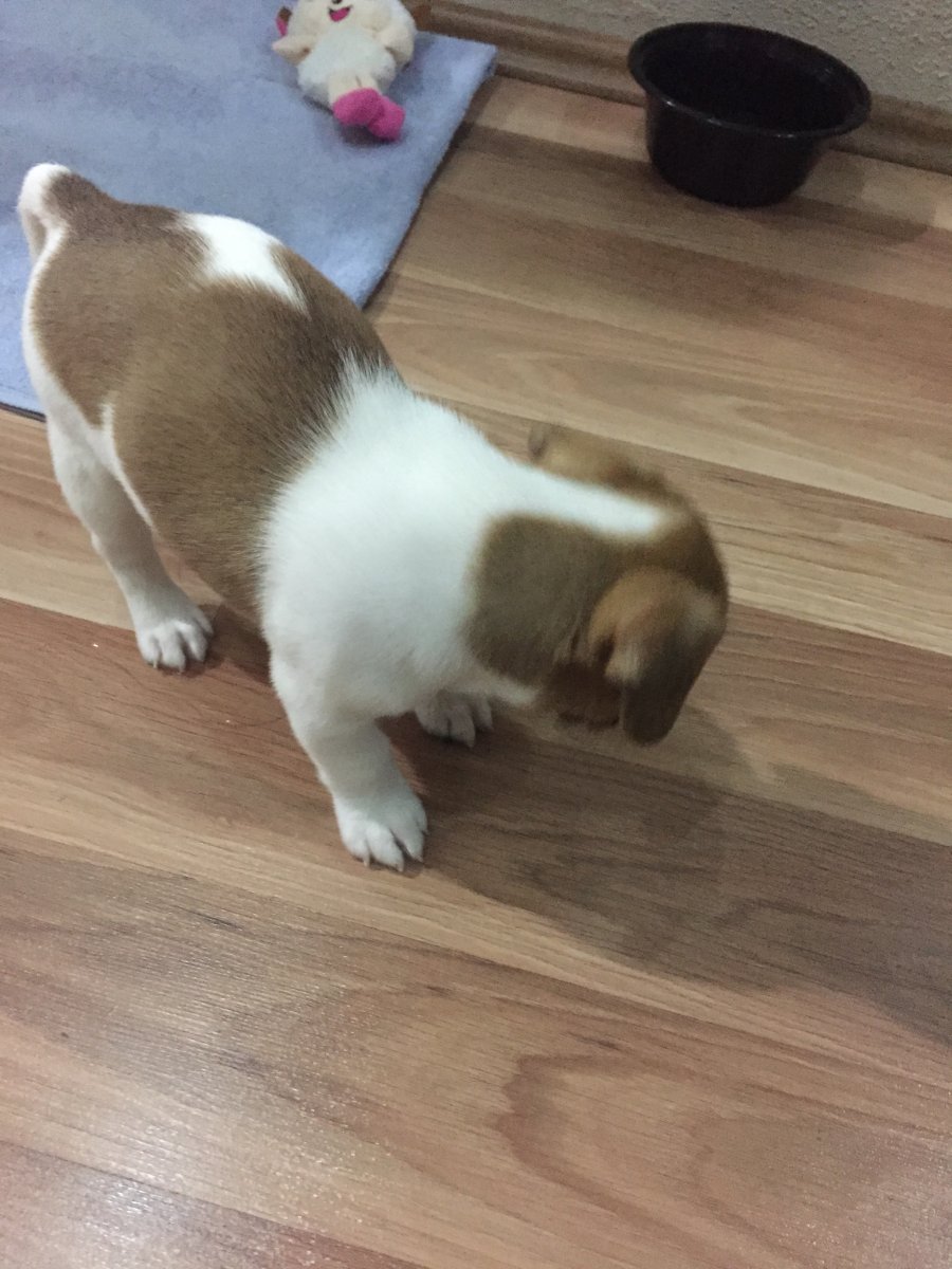 upload_2019-3-18_21-37-58.jpeg