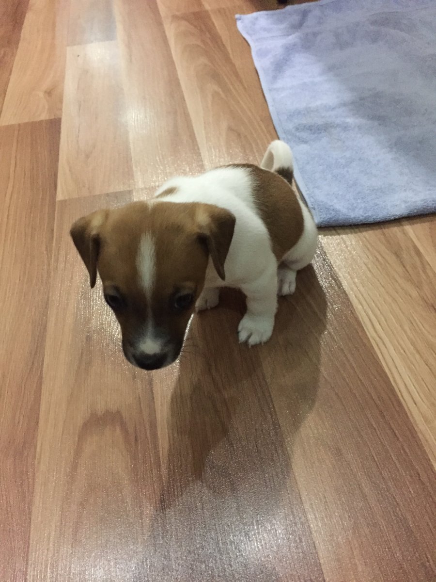 upload_2019-3-18_21-38-27.jpeg