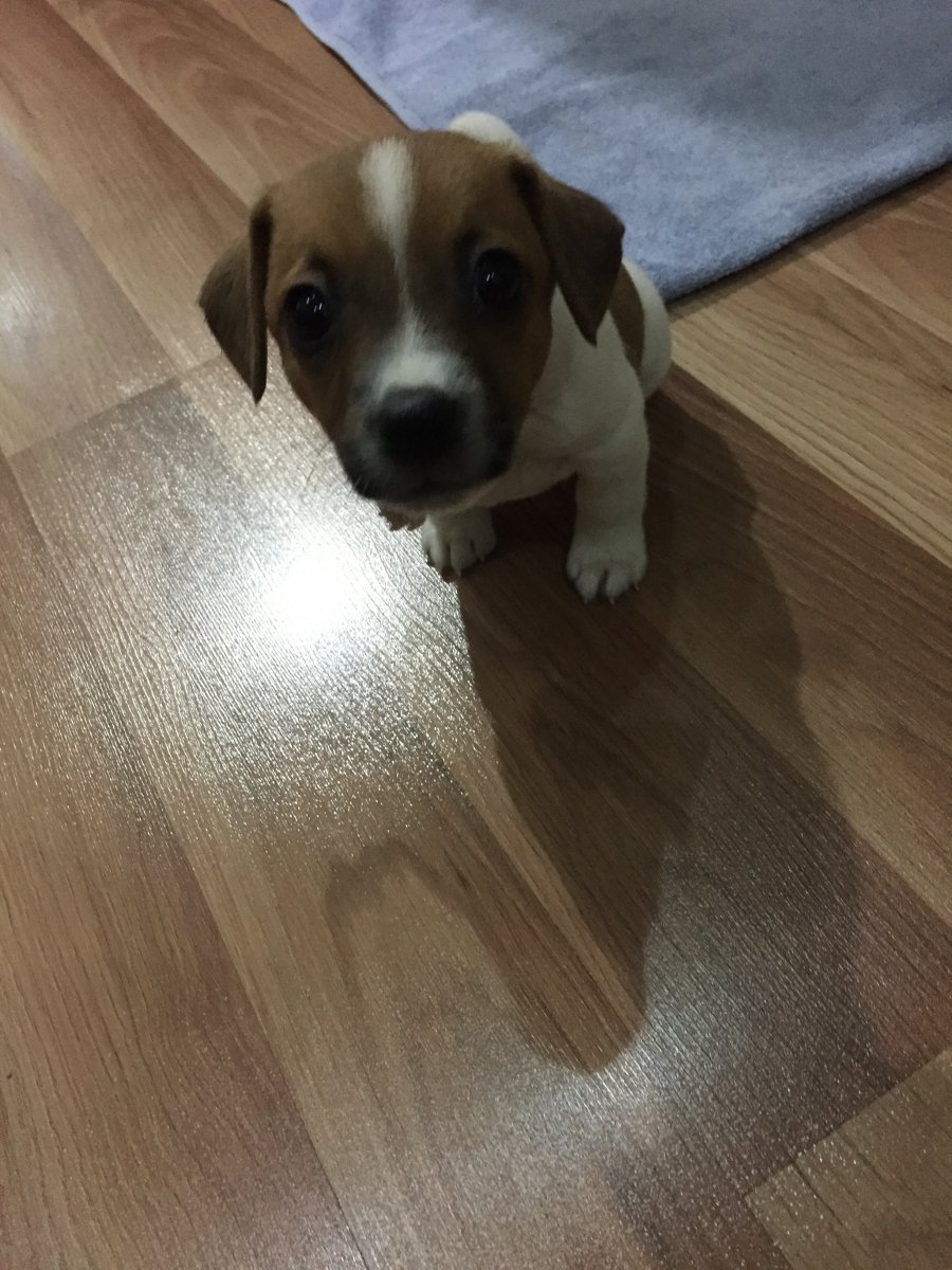 upload_2019-3-18_21-38-59.jpeg
