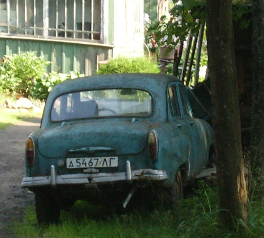 в огороде 3.jpg