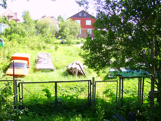 в огороде.jpg