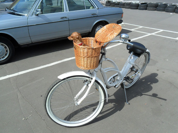 велосипед.jpg