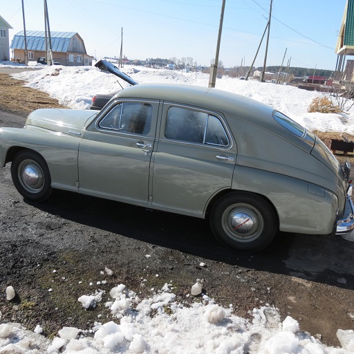 виктория серая (2)..jpg